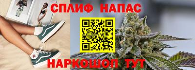 гашик Обнинск
