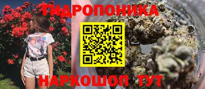 гашик Обнинск